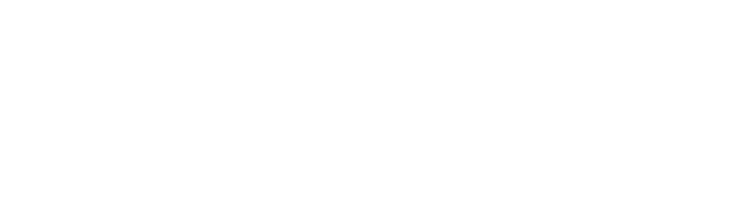 Villa Nordic